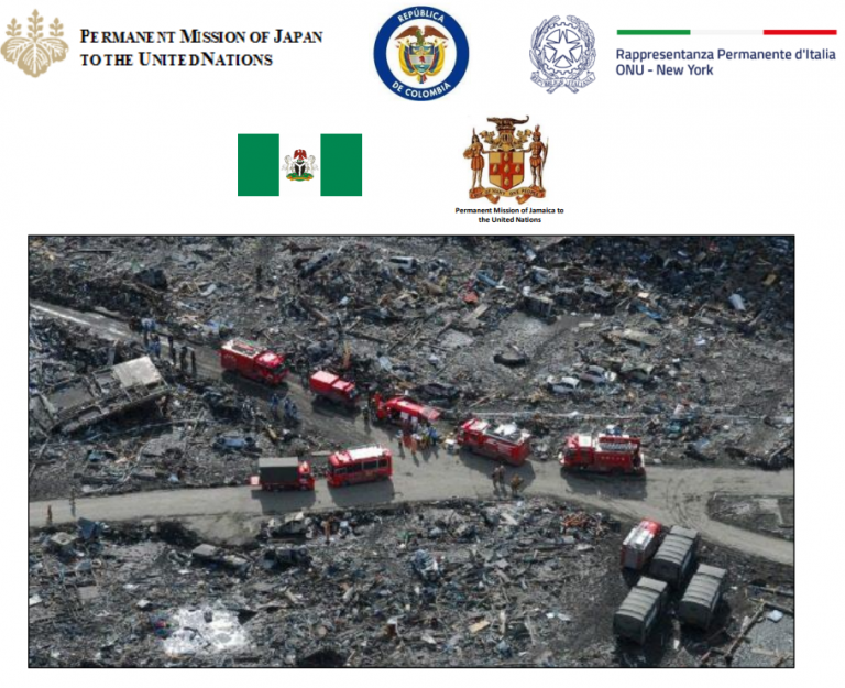 Virtual Roundtable ‘Disaster Law and the Draft Articles for the Protection of Persons in the Event of Disasters’