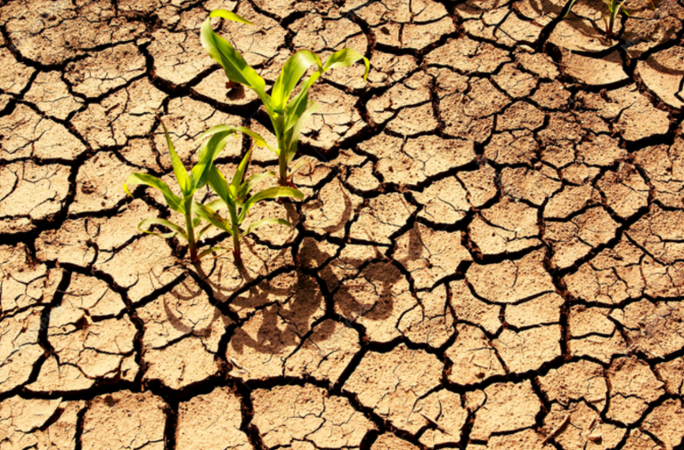 Upcoming Event: Webinar on Law and Policies for Strengthening Climate Resilience